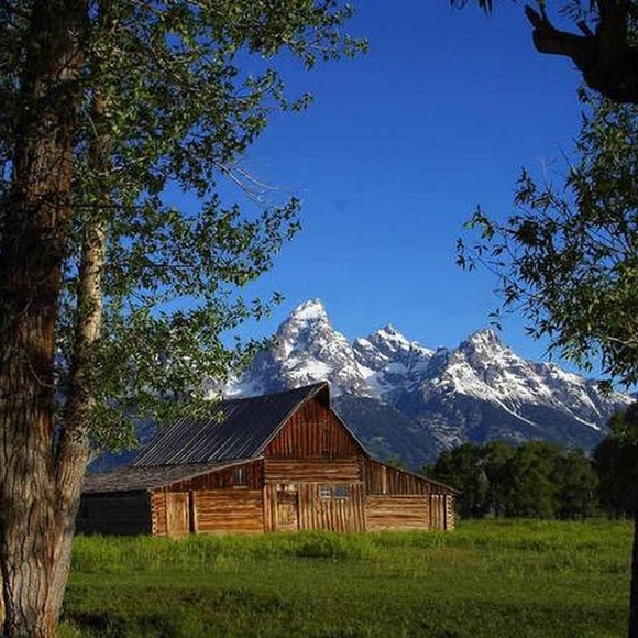 Meet your Posher, Lisa - Picture 1 of 1